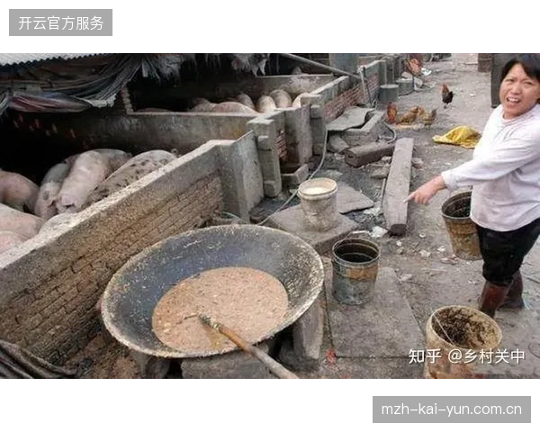 赛事餐饮产能闲置为何迟迟未解？供应链前置预调能力成为决定现场消费提速的关键变量
